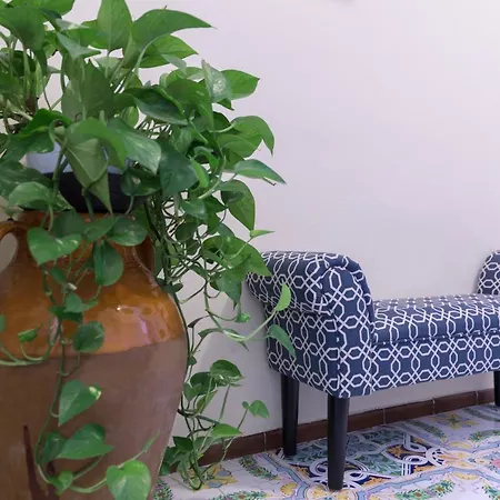 Zi'ntonio 3* スカラ