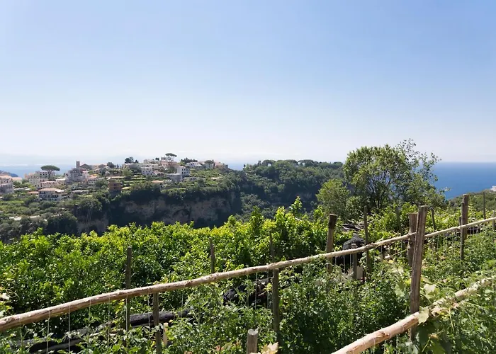 Ξενοδοχείο Zi'ntonio