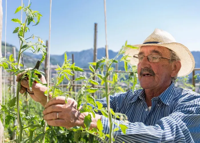 Zi'ntonio Ξενοδοχείο 3*