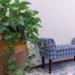 Zi'ntonio 3* סקאלה